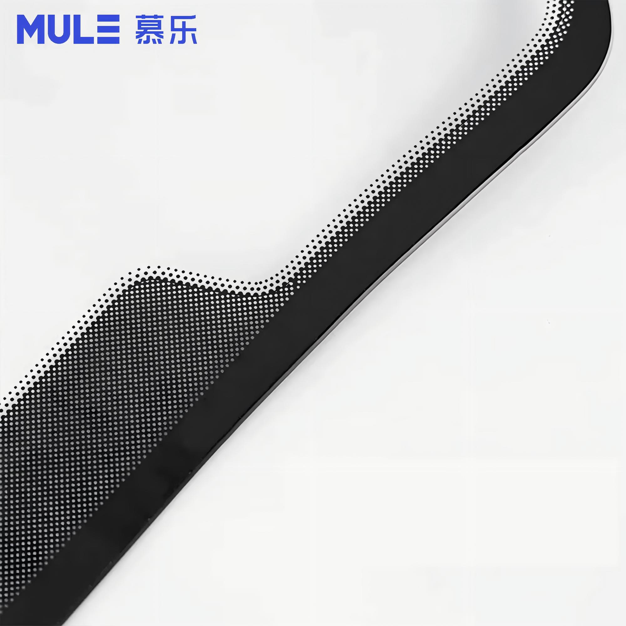 Modèle d'affichage en verre po - Glass Protector Auto avis et prix